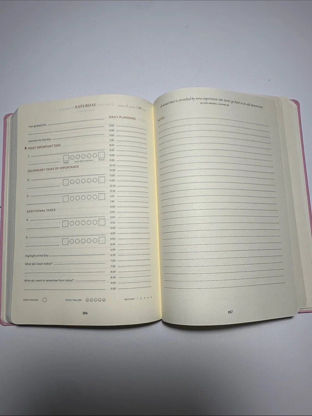 Pink Productivity Planner Hardcover Notebook with Gold Accent